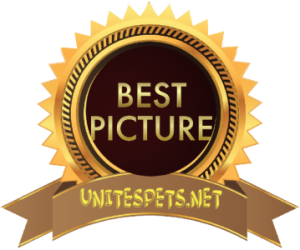 a best potw picture award